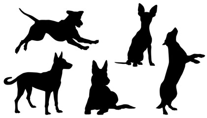 Dogs Silhouettes, Collection, Isolated, Black, Pose, Isolated, Jump, Stand, Run, Sit, Animal, Pet