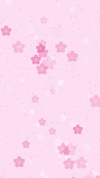 Abstract floral pattern vertical video background with animated pink sakura flowers cherry blossoms falling on pale rose backdrop. Elegant pastel color animation for japanese or springtime design.