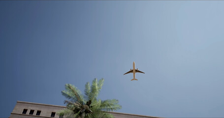 Long-haul passenger plane flying over a Hotel with palm trees on a sunny day. Bottom view. The concept of an exotic vacation.