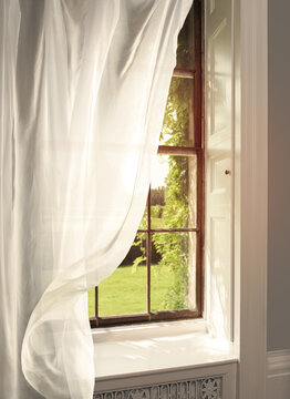 Curtains Blowing At The Window