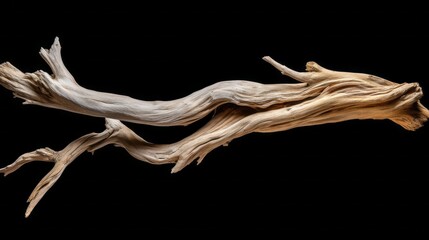 Driftwood, Old wood with a beautiful curved wavy shape on a black background.