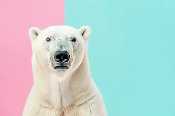Fototapeten A curious polar bears face emerging over a vibrant pastel backdrop A charming choice for invitations and greeting cards © Supachai