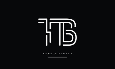 Fototapeta na wymiar TB, BT, T, B, Abstract Letters Logo monogram