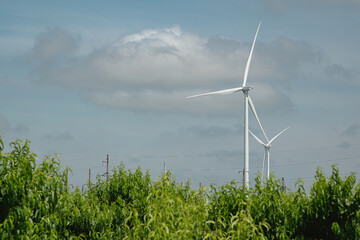Wind turbines with big rotor blades generate clean energy for farms among growing plants. Windmills...
