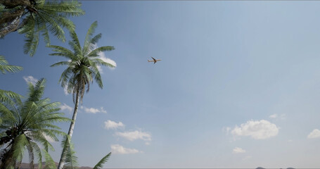 Long-haul passenger plane flying over a resort with palm trees on a sunny day. Bottom view. The...
