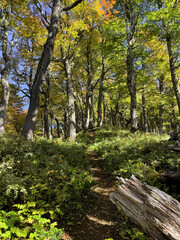 Cerro Akol, Oto&ntilde;o en la Patagonia Argentina