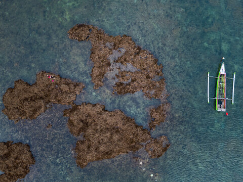 Overhead view of a traditional boat and a man fishing in ocean at low tide, Bima, Sumbawa, West Nusa Tenggara, Indonesia