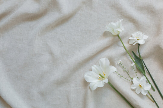 Fototapeta Overhead view of white tulips on a piece of crumpled white linen fabric