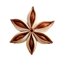 Anise star isolated on transparent background