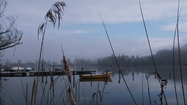 Barche al lago in inverno, mattino alba con foschia,  canne che si muovono al vento