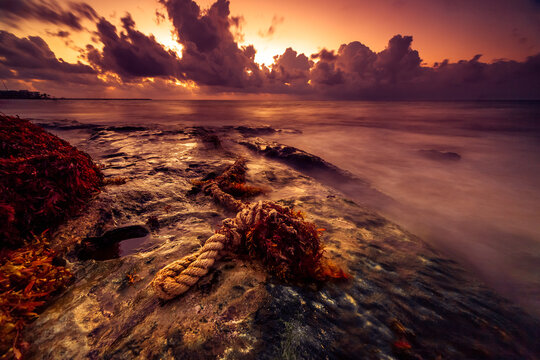 Washed up piece of rope on beach at sunrise, Playa del Carmen, Quintana Roo, Mexico