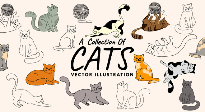 A collection of doodle line drawn cute cats in various situations. Vector illustration set.