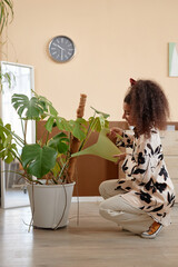 Vertical full length portrait of young woman taking care of big potted houseplant at home copy space