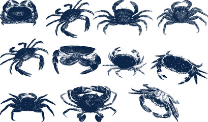 crab vector set
