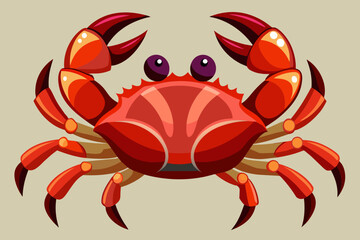 Crab vector illustration 