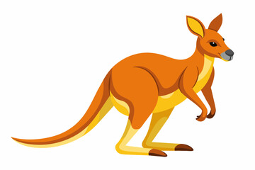 Kangaroo vector illustration 