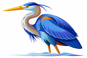 Blue heron vector illustration 