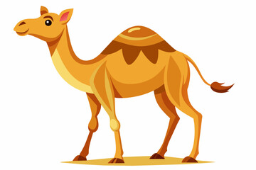 Camel vector illustration 