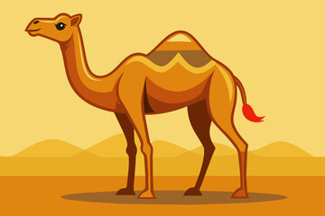 camel in desert vector 