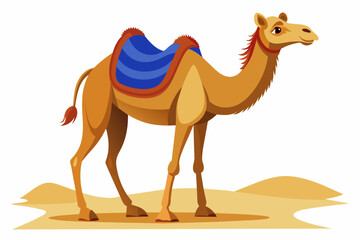 camel in desert vector 