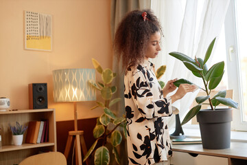 Side view portrait of Black young woman taking care of potted tropical houseplant in cozy home copy...