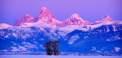 Fotobehang Teton Mountain Range Idaho Side Sunset Alpen Glow in Winter Blue Sky and Forest © Lane Erickson
