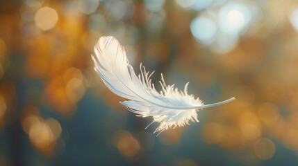Delicate feather floating in the air a dance with the breeze a symbol of lightness and freedom