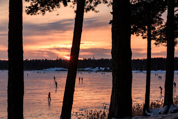 A large, natural skating rink on a lake in the forest, families with children skating. Family, winter, sunset, forest, fresh air, sports, active recreation.