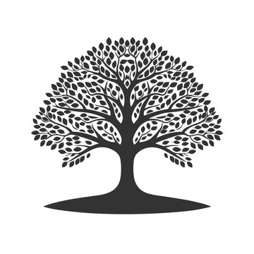 Enlightened Tranquility: Bodhi Tree Logo
