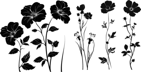 Poster Three vector black silhouettes of flowers © Mark