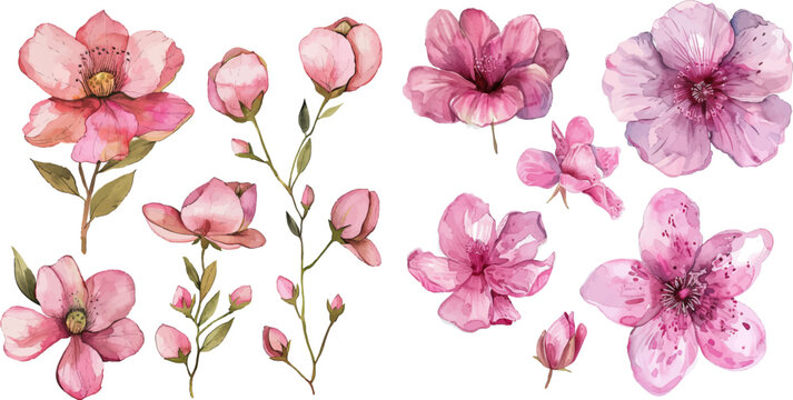 Watercolor pink flowers set