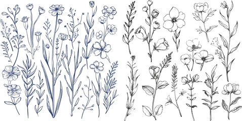 Hand drawn line branches and blooming wildflowers