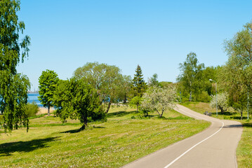 Fototapeta na wymiar road in the park, photo of the park in summer, road, trees and river