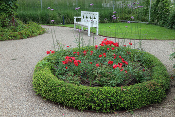 white bench and round flowerbed with roses in the park