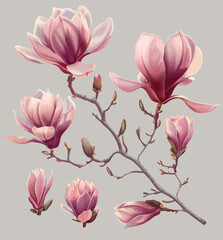 a painting of pink flowers on a branch