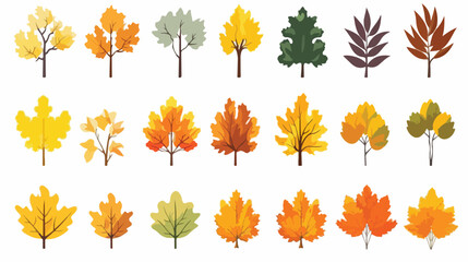 Autumn leaves colorful flat set of maple oak birch - obrazy, fototapety, plakaty