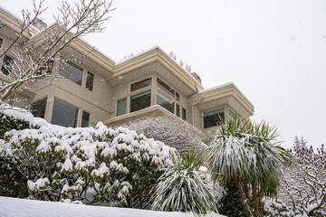 2023-12-31 A UPWARD VIEW OF A SNOWY SCENE WITH SNOW COVERED HOMES AND TREES ON MERCER ISLAND WASHINGTON