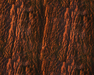 Pattern and structure of beech bark. Detail shot. - 756589471