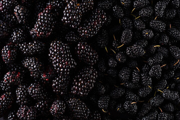 texture of black berries blackberries and mulberries top view fruit and berry composition