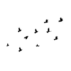 Flock of birds flying isolated on white