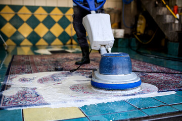 Private carpet chemical cleaning with brush.