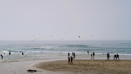 Sãp Pedro de Moel, Leiria, Portugal.
People enjoying a beach day in the beach on the west coast of...