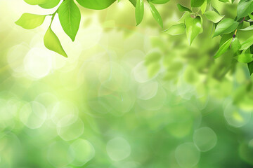 Light green gradient background, minimalistic, simple, flat design, bokeh, with nature