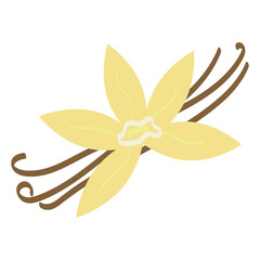 Vanilla flower with dried vanilla sticks, vector illustration, vanilla spice clipart