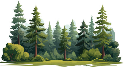 Illustration of spruce tree. Forest or park landscap