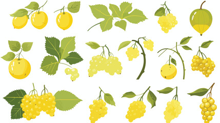 Illustration of the arrowwood fruits and leaves fla