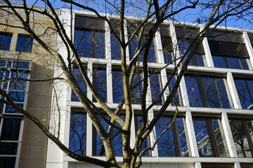 Fototapeta na wymiar Modernes Bürogebäude in Beige und Naturfarben mit großen getönten Fensterscheiben hinter einem Baum bei blauem Himmel und Sonnenschein in der City und Innenstadt von Frankfurt am Main in Hessen
