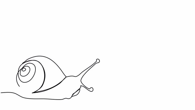 Snail. One line drawing animation with alpha channel.