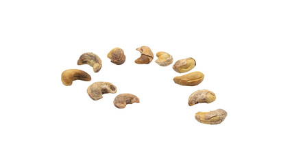 Cashew nut fruit isolated