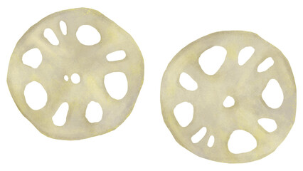 輪切りしたレンコンのイラスト